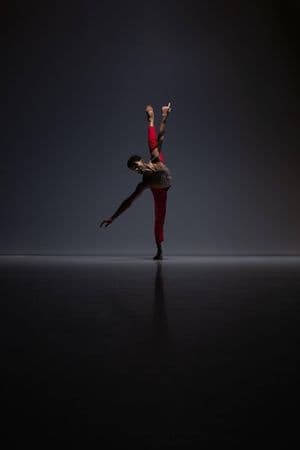 Firebird – A Double Bill production image